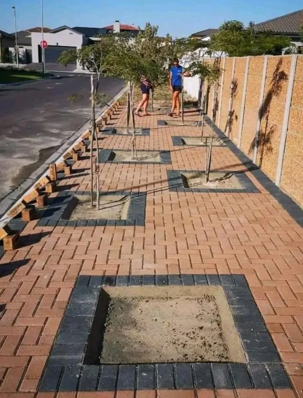 Long brick-paved walkway with charcoal tree surrounds